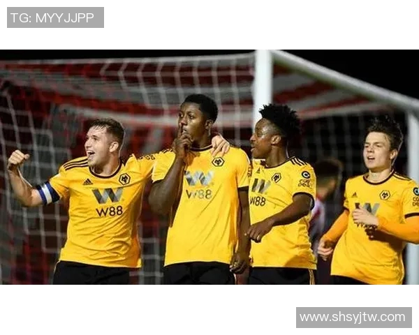 英超聚焦羽毛球北京羽毛球队的意识与发展探讨 英超聚焦羽毛球北京羽毛球队的意识与发展探讨