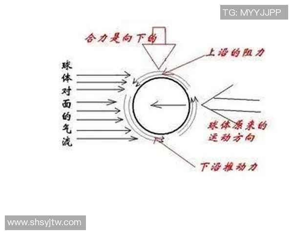 运动数据乒乓球的魅力深入了解上海乒乓球队的灵活战术与训练秘诀